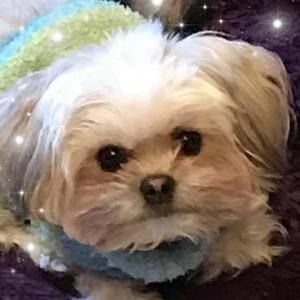 Meet your Posher, Margie